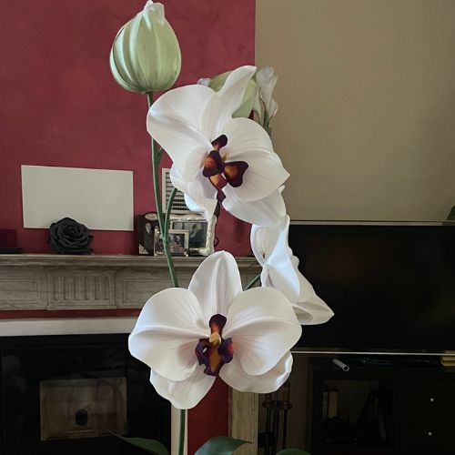 Orchidea gigante artigianale bianca con cuore borgogna, scenografia floreale verticale per allestimenti interni e angoli photo booth.
