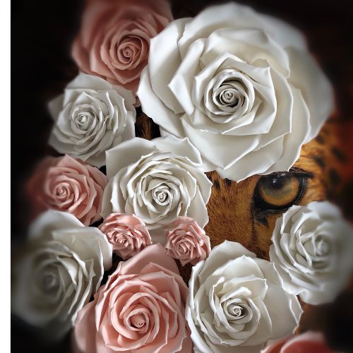 Composizione artistica con rose giganti bianche e rosa cipria che incorniciano lo sguardo intenso di un leopardo, simbolo di forza e bellezza selvaggia.