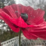 Dettaglio ravvicinato di un papavero gigante artigianale in tessuto rosso cremisi, con stami metallici e cuore verde smeraldo, realizzato a mano per allestimenti scenografici e matrimoni fuori dagli schemi.