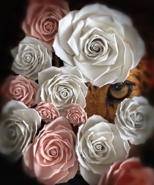 Composizione artistica con rose giganti bianche e rosa cipria che incorniciano lo sguardo intenso di un leopardo, simbolo di forza e bellezza selvaggia.